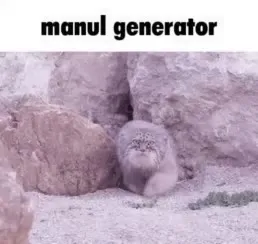 Manul Generator Approaches Camera