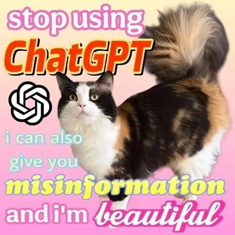 Beautiful Cat Gives Misinformation