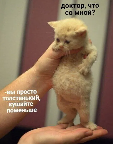 Доктор, что со мной?