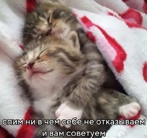Спим и вам советуем