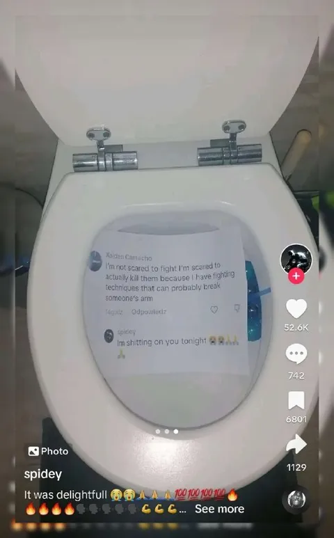 Fighting Techniques on the Toilet