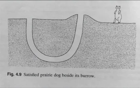 Satisfied Prairie Dog Burrow