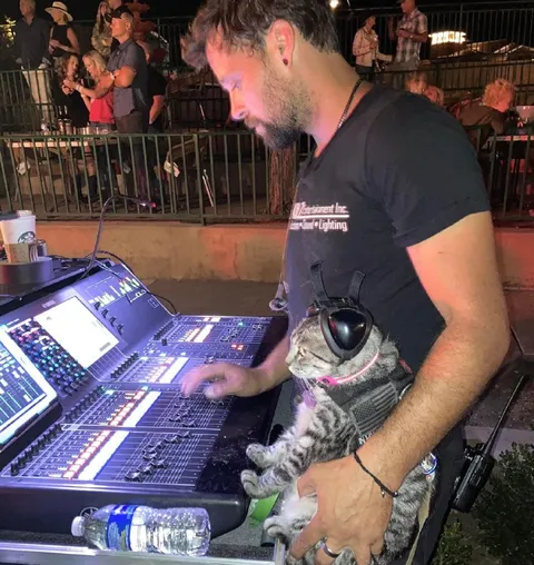 Cat Runs the Lighting Console