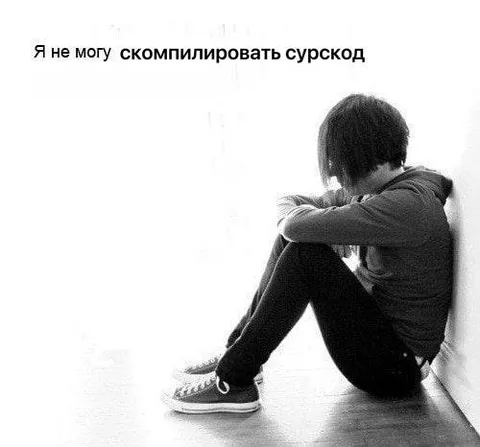 Я не могу скомпилировать сурскод
