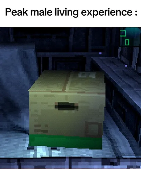 Peak Male Living Experience