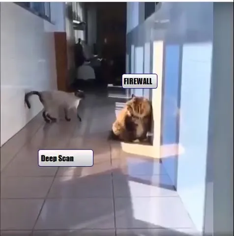 Cat Firewall Executes Payload