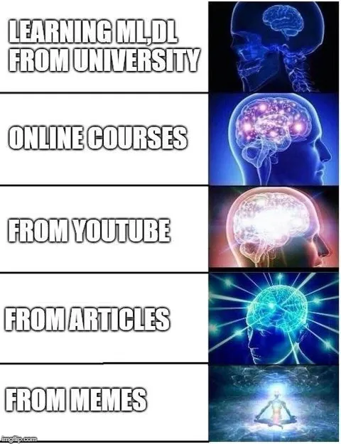 Learning From Memes Brain Evolution