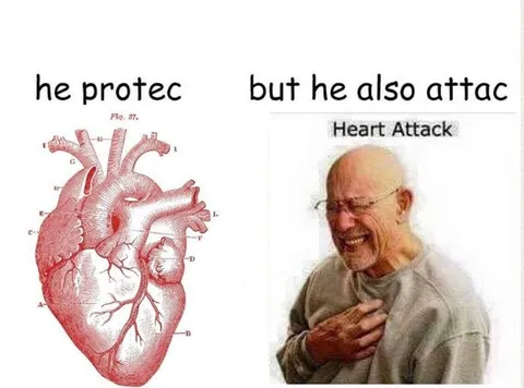 He Protec but He Also Attac