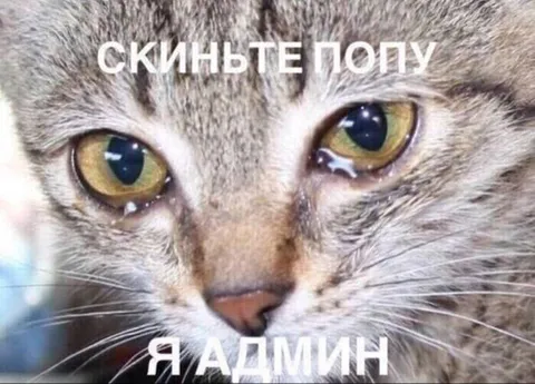 Скиньте попу, я админ