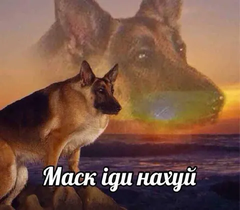 Маск иди нахуй