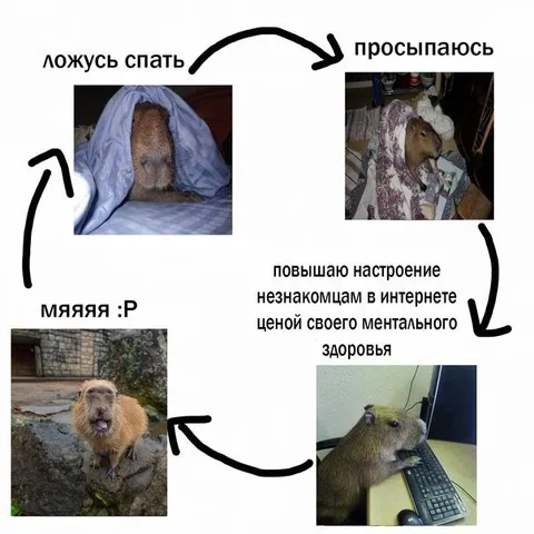 Капибара повышает настроение ценой ментального здоровья