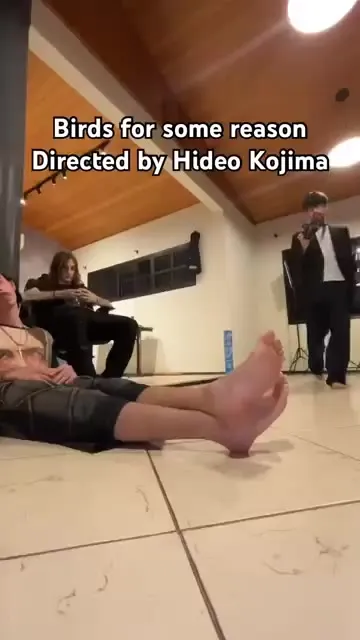 Birds Directed by Hideo Kojima