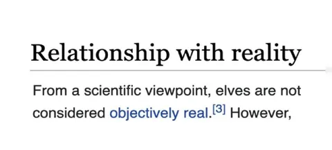 Relationship With Reality Elves