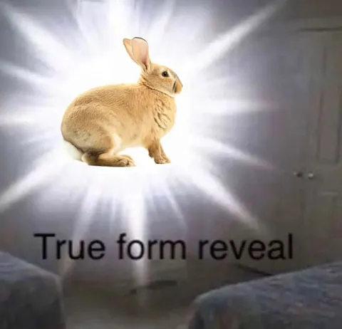 Rabbit True Form Reveal