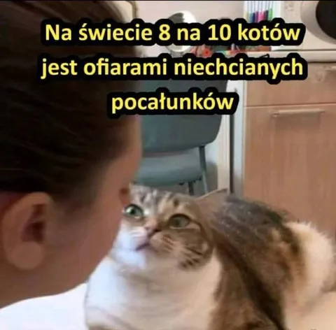 Koty ofiary niechcianych pocałunków