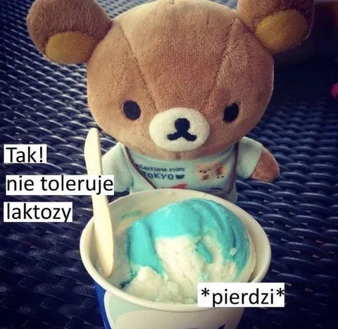 Miś nie toleruje laktozy