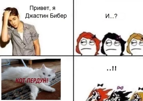 Кот-пердун вместо Джастина Бибера