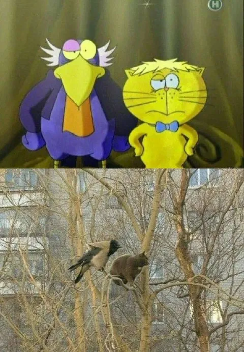 Когда друзья похожи на птицу и зверя