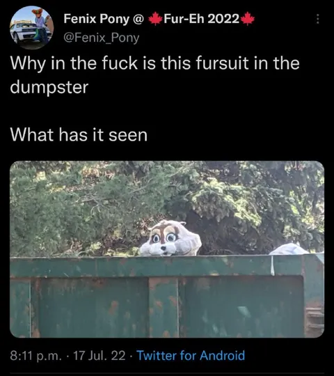 Fursuit in the Dumpster