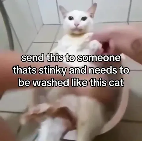 Stinky Person Needs a Bath