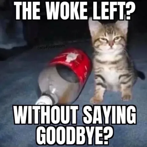 The Woke Left Without Saying Goodbye