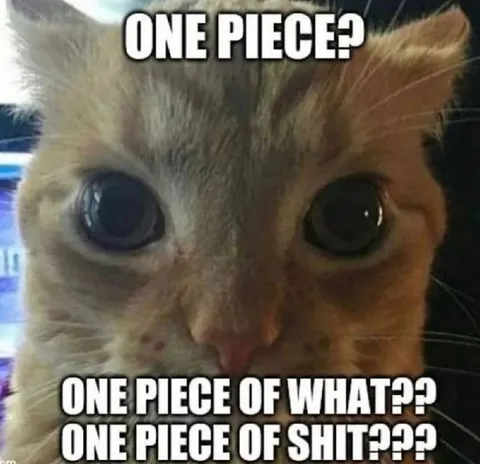 One Piece Confused Cat