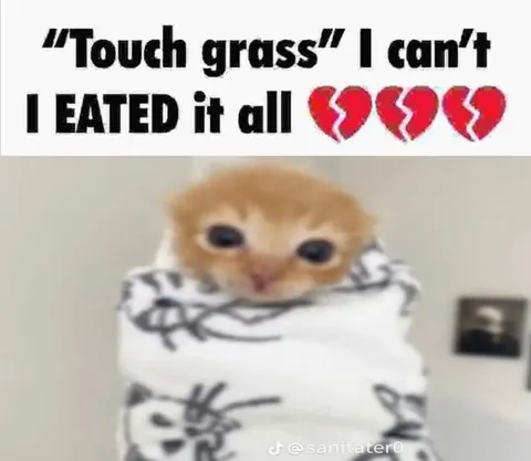 Cat Ate All the Grass