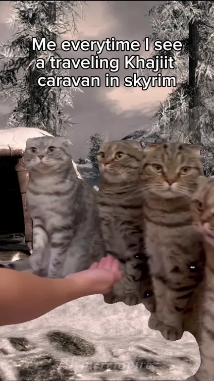 Khajiit Caravan Excitement
