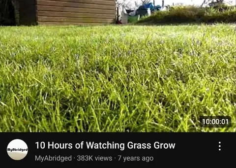 10 Hours of Watching Grass Grow