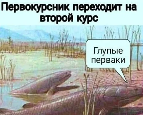 Первокурсник переходит на второй курс