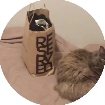 Cat Slowly Reveals Its Judgmental Face