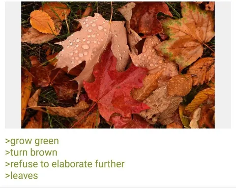 Leaves Refuse To Elaborate