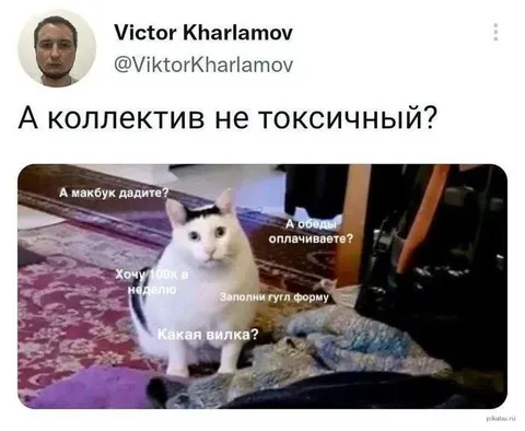 А коллектив не токсичный?