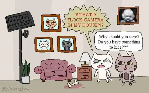 Cats Argue About a Flock Camera