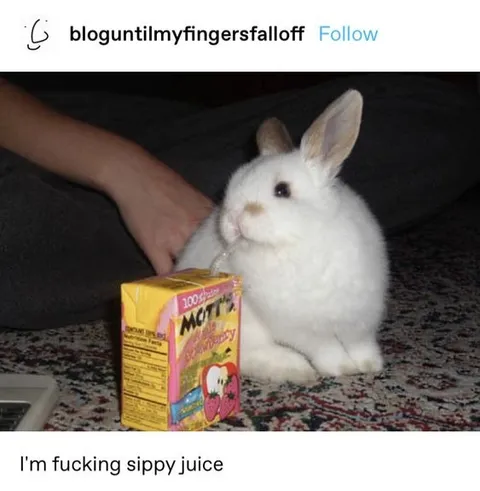 Bunny Sippy Juice