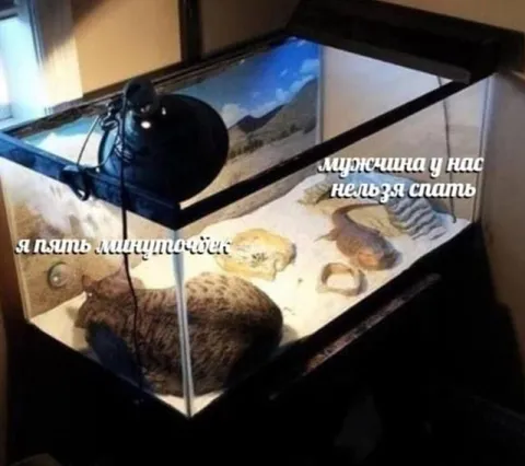 Я пять минуточек