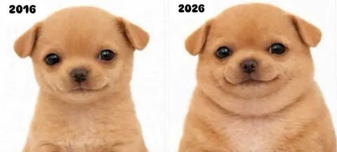 2016 vs 2026 Puppy