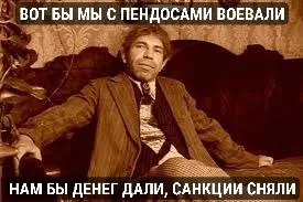 Вот бы с пиндосами воевали