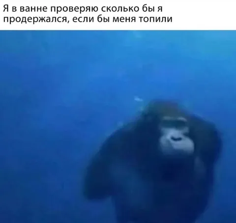 Проверяю, сколько бы продержался