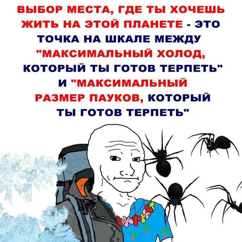 Выбор места по холоду и паукам