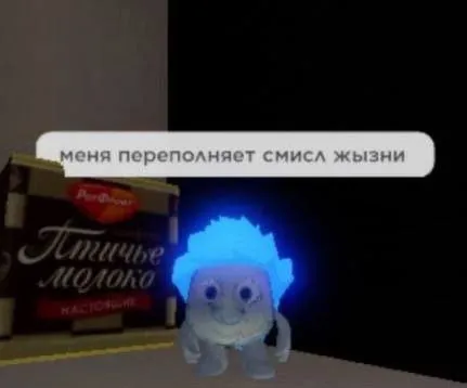 Меня переполняет смысл жизни