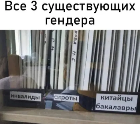 Все три существующих гендера