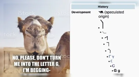 Camel Becomes the Letter G