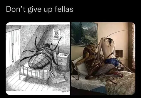 Don’t Give Up Fellas Beetle