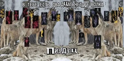 В тебе есть два дцатьчетыре волка