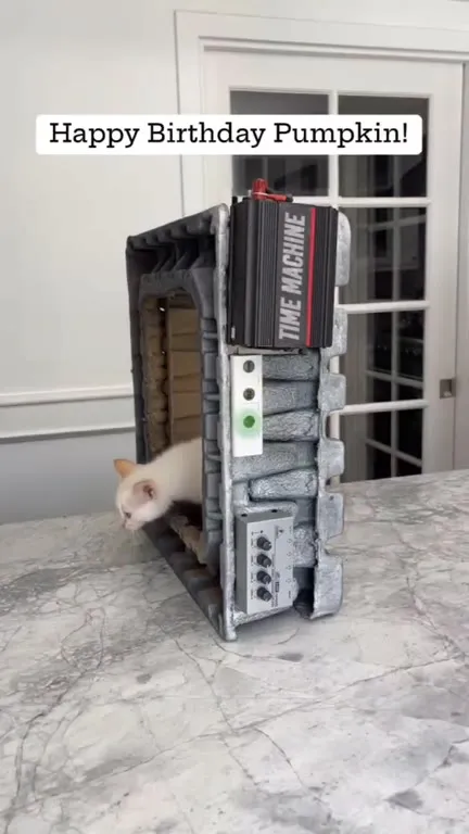 Birthday Time Machine Turns Potato