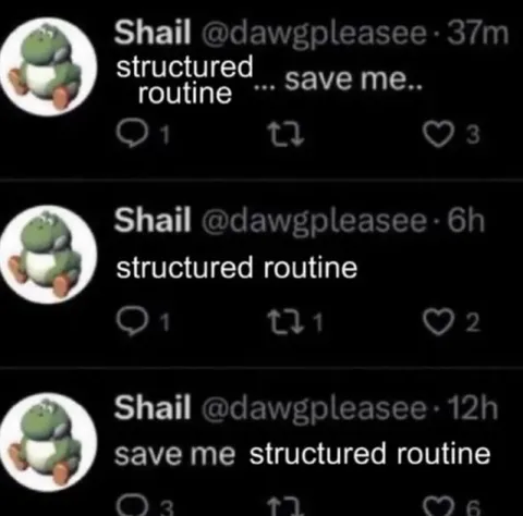 Structured Routine Save Me
