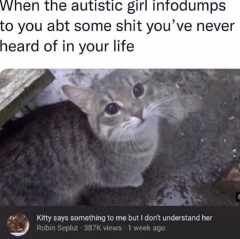Kitty Infodump Confusion
