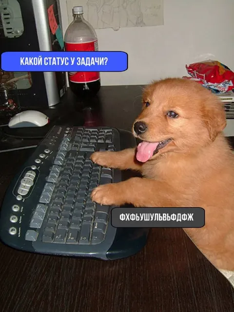 Какой статус у задачи?