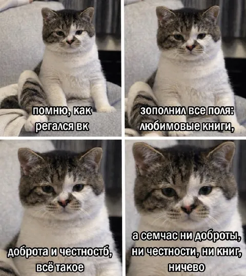 Кот вспоминает любимые книги